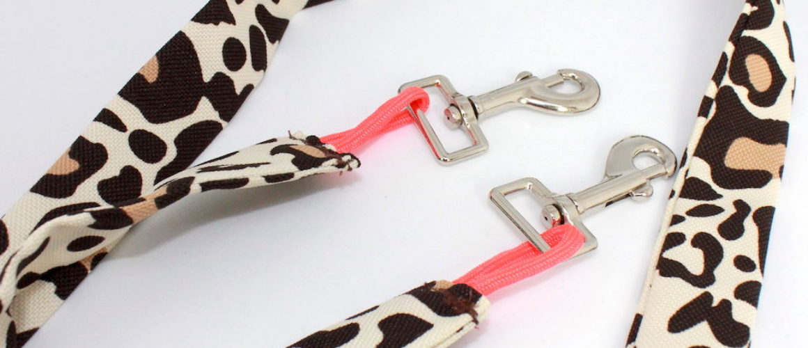Lanyard_Leo